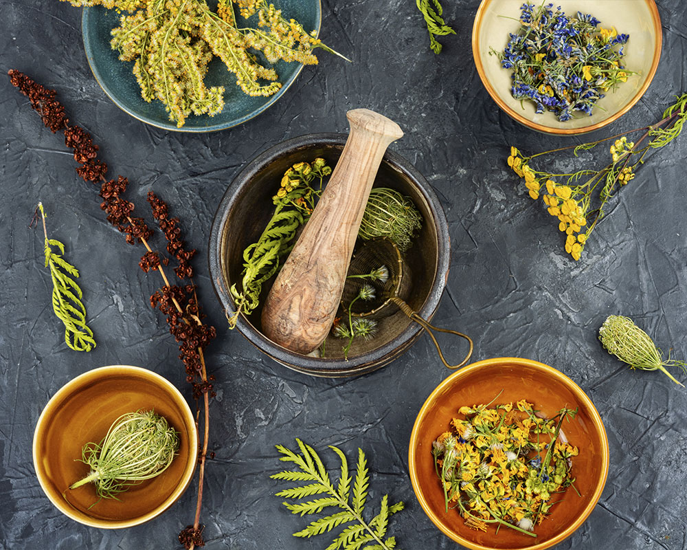 Formation sécurité nutrition Navae - Expertise approfondie