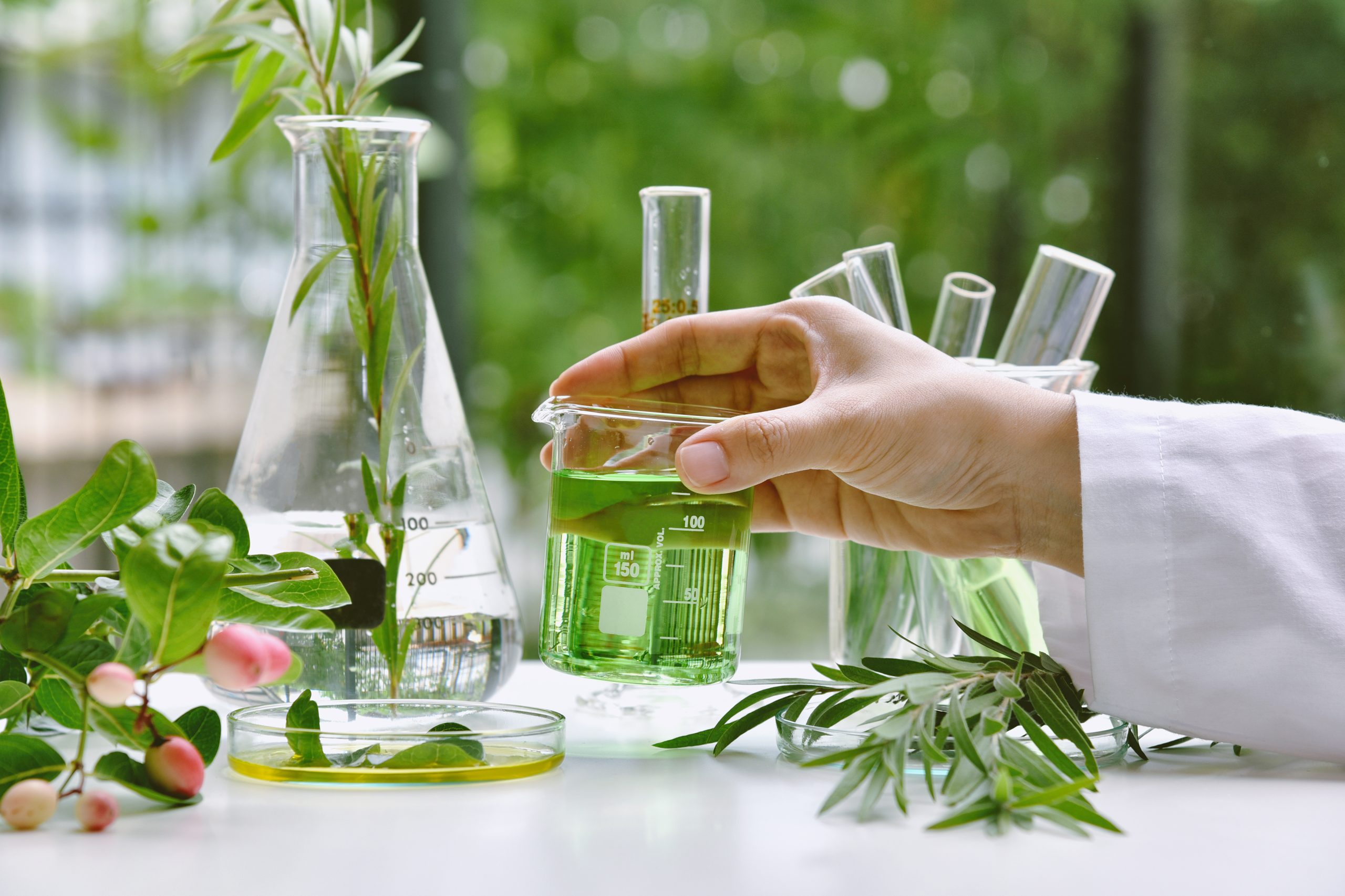 Formation interactions plantes médicaments Navae - Sécurité naturopathie
