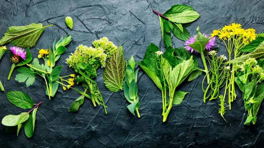 Usages-et-choix-des-produits-de-santé-naturelle
