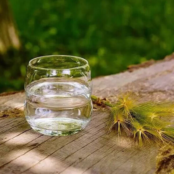 Verre Fleur de Vie Platine - Reconnectez-vous à l’Eau Vivante – Image 2