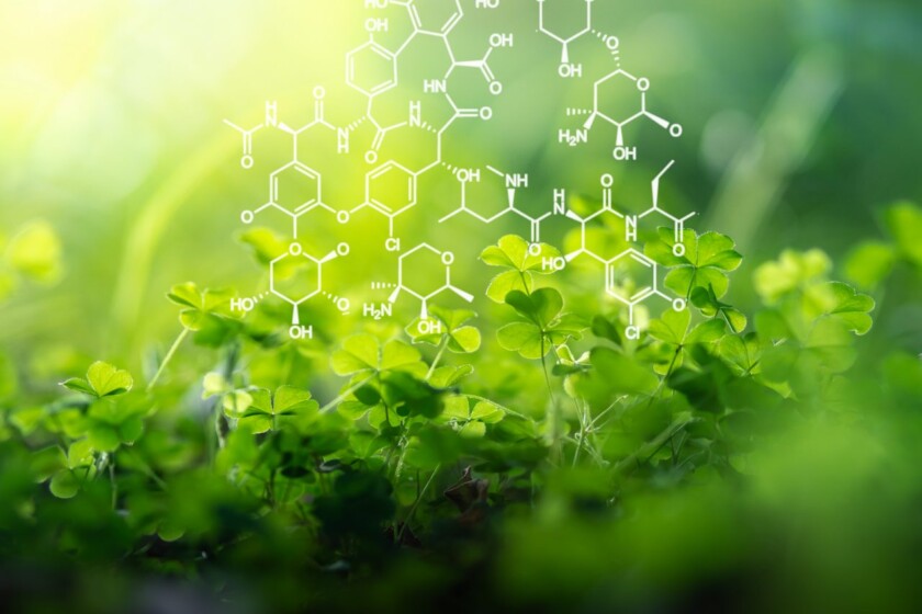 bases scientifiques en phytochimie