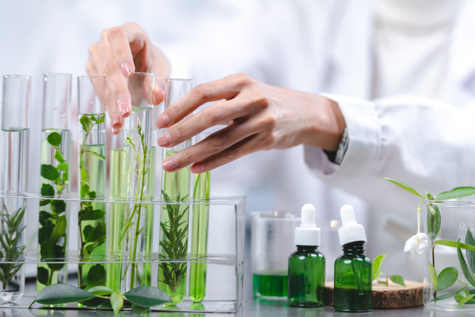 Formation chimie plantes médicinales Navae - Expertise avancée