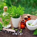 Formation herboristerie naturopathie programme détaillé Navae